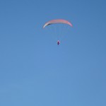 DSC03301