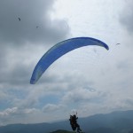 DSCF0394