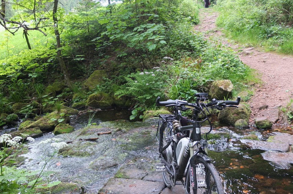 Himmelfahrt 2014 Schwarzwald Nord