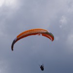 IMGP4424